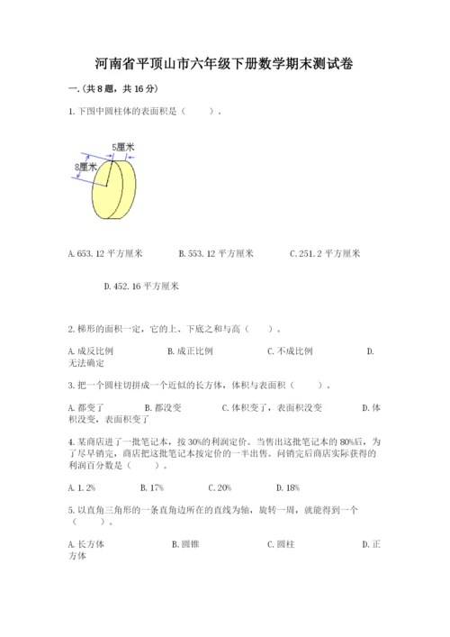 河南省平顶山市六年级下册数学期末测试卷含答案（突破训练）.docx