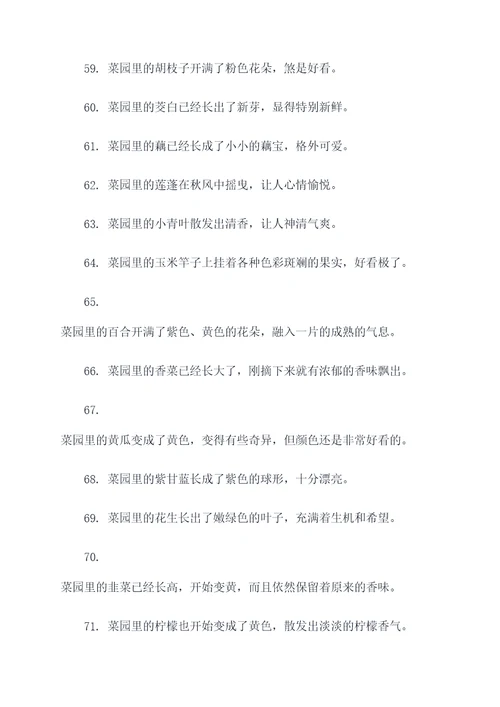 描写秋天的菜园好词好句