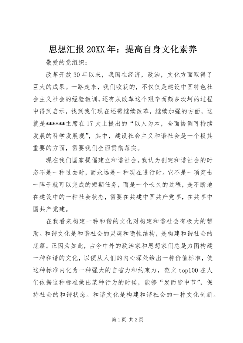 思想汇报20XX年：提高自身文化素养.docx