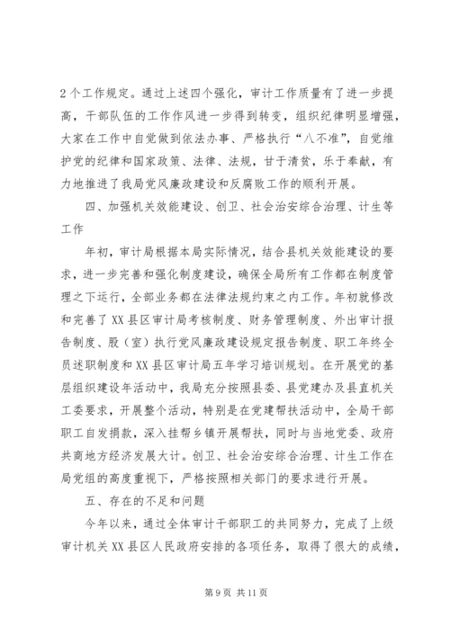 市审计局总结及年度工作规划.docx