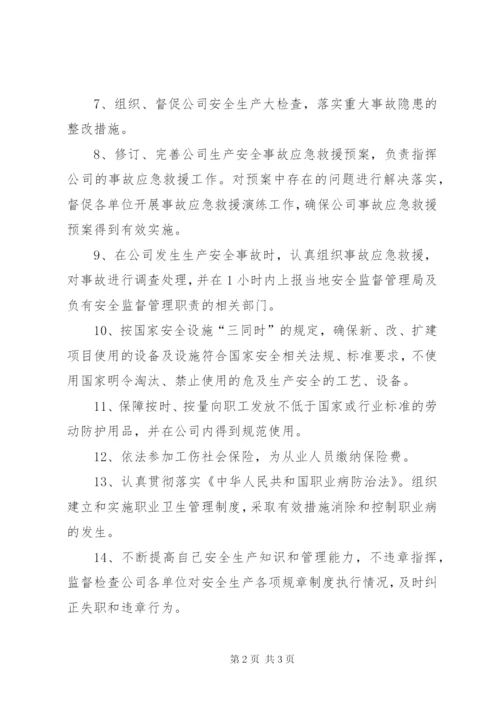 主要负责人的安全承诺书[小编整理].docx