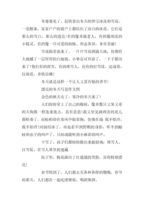 2024年美丽的冬天写景作文4篇
