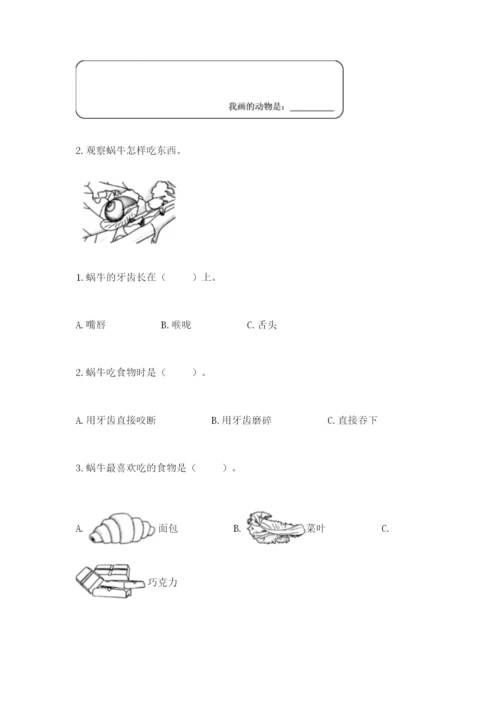 教科版一年级下册科学期末测试卷附答案（轻巧夺冠）.docx