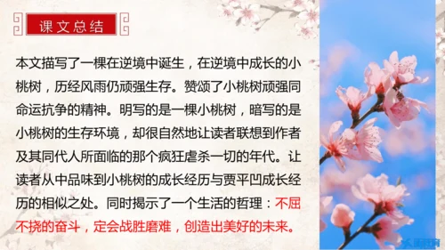 第19课 一棵小桃树 课件(共24张PPT)