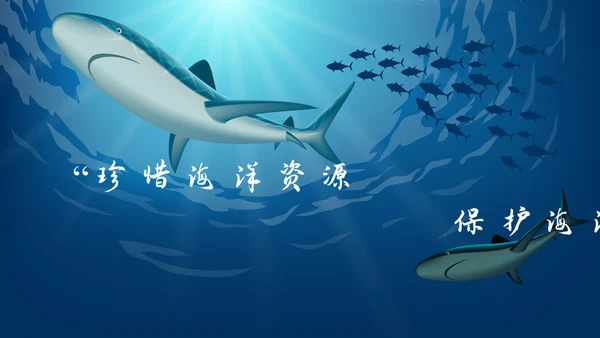 6月8日世界海洋日保护鲨鱼通用PPT模板