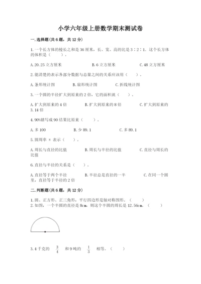 小学六年级上册数学期末测试卷附完整答案（夺冠系列）.docx