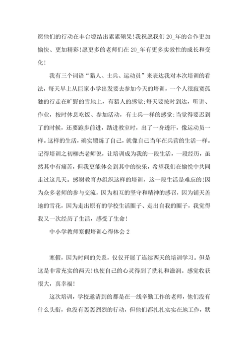 中小学教师寒假培训心得体会.docx