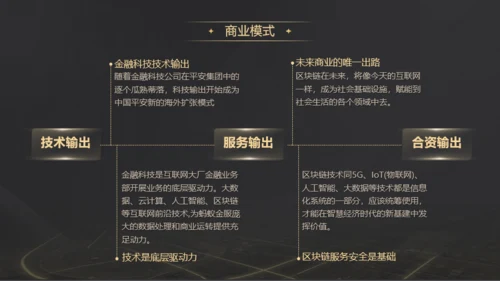 黑金科技商业计划书ppt模板