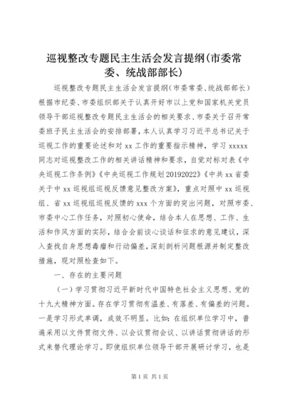 巡视整改专题民主生活会发言提纲(市委常委、统战部部长).docx