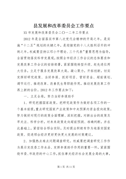 县发展和改革委员会工作要点 (2).docx