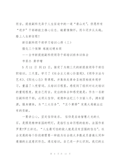 新任副科级干部学习培训心得.docx