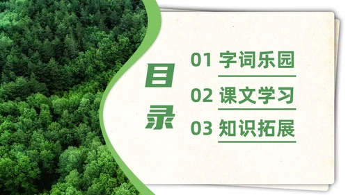 绿色简约实拍要是你在野外迷了路二年级语文下册说课PPT课件小学语文二年级下册课件