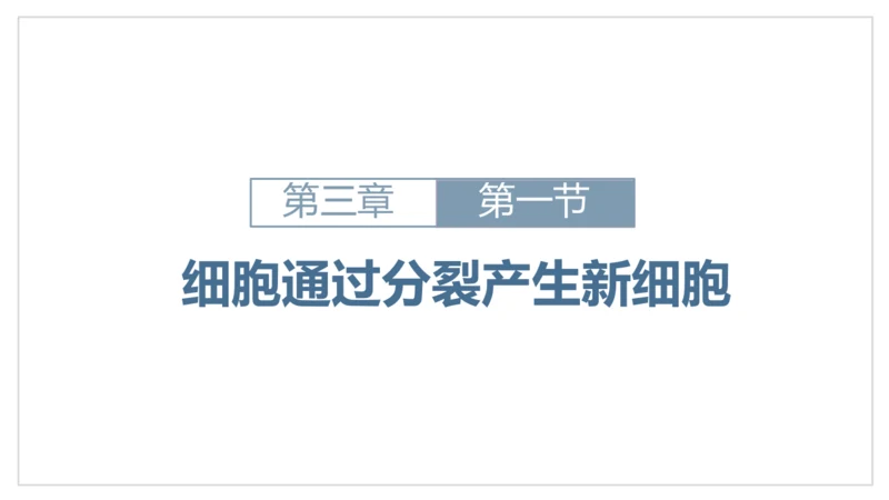 人教版（2024）七年级上册1.3.1细胞通过分裂产生新细胞 课件(共19张PPT)