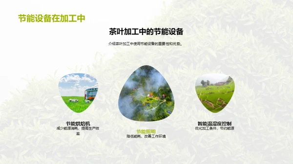 绿色革新：茶叶加工