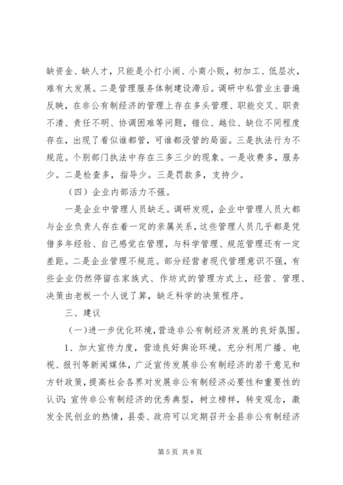 县经济工作调研报告 (2).docx