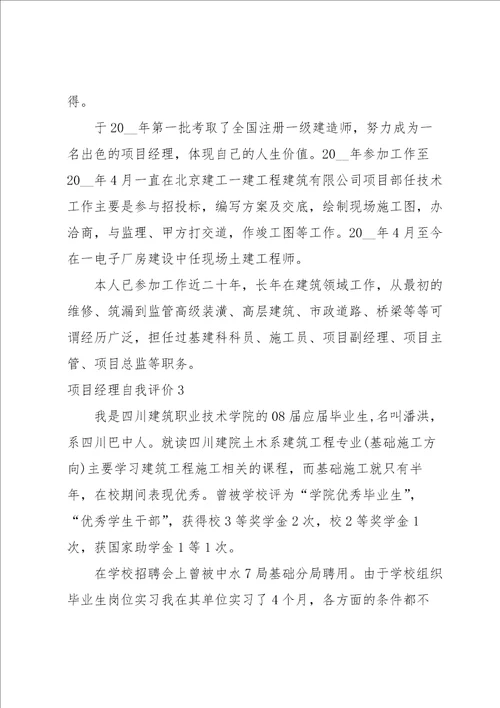 项目经理自我评价