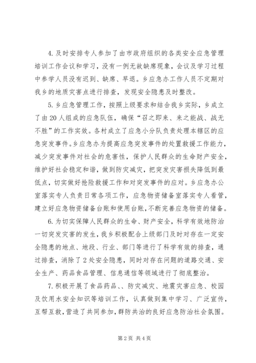 乡镇年度应急管理安全工作总结.docx