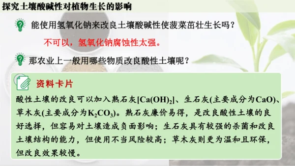 跨学科实践活动9  探究土壤酸碱性对植物生长的影响课件(共33张PPT)