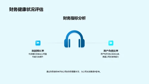 财务分析与发展策略