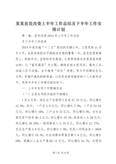 某某县发改委上半年工作总结及下半年工作安排计划.docx