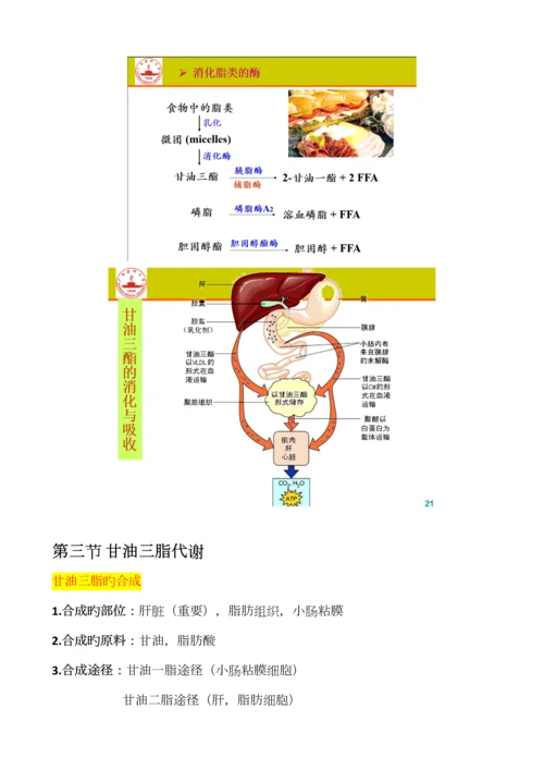 2023年生物化学脂质代谢知识点总结.docx