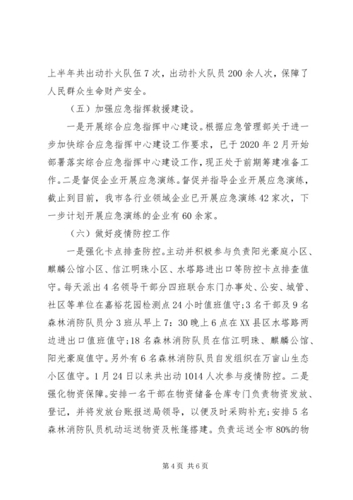 应急管理局XX年上半年工作总结和下步工作计划.docx