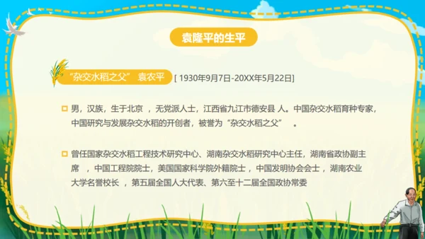 杂交水稻之父袁隆平通用PPT模板