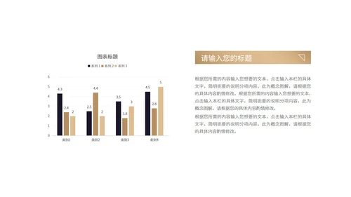 奢华纹理风产品发布汇报PPT模板