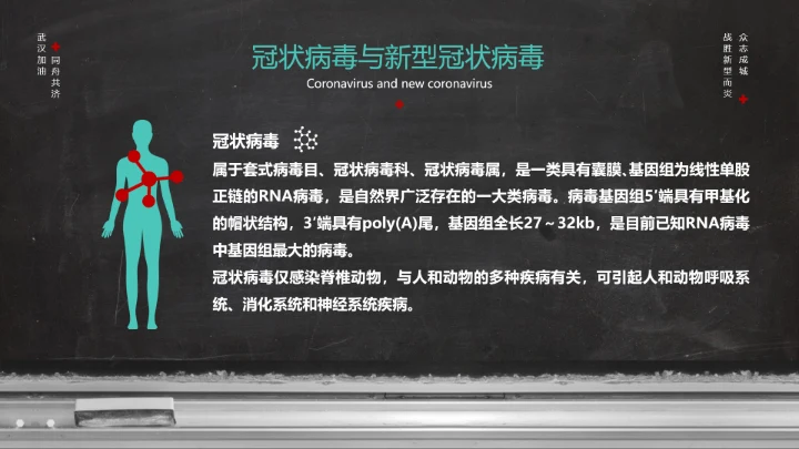 新冠病毒防护科普疫情防控PPT课件