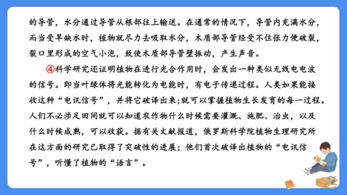 期末专项复习 说明文阅读复习（课件）-2024-2025学年语文五年级上册（统编版）