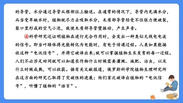 期末专项复习 说明文阅读复习（课件）-2024-2025学年语文五年级上册（统编版）