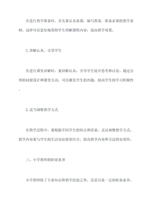 小学教育在校见习个人总结