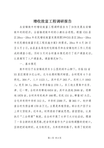 增收致富工程调研报告 (7).docx