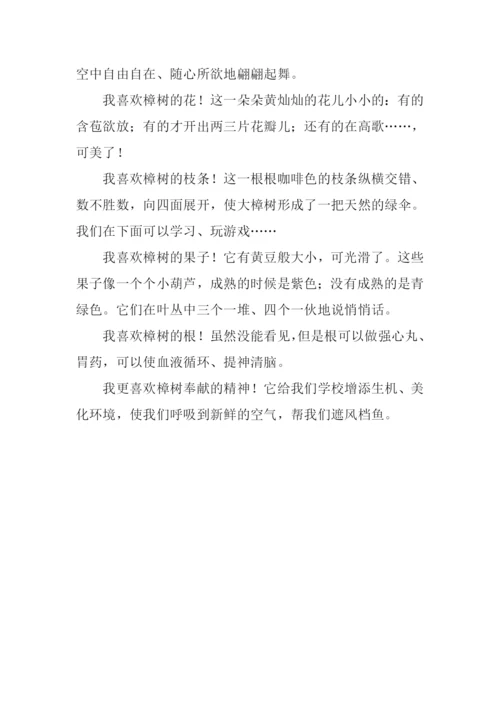 写物的作文500字.docx
