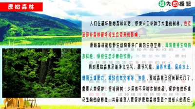 23祖先的摇篮（课件）