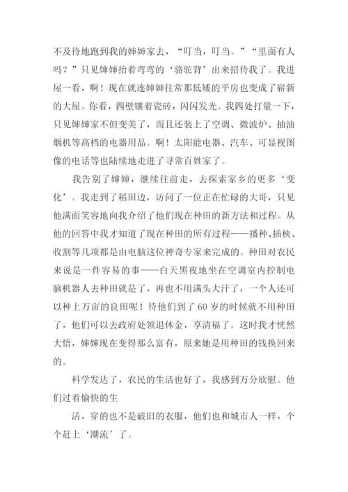 20年后的家乡作文-3.docx