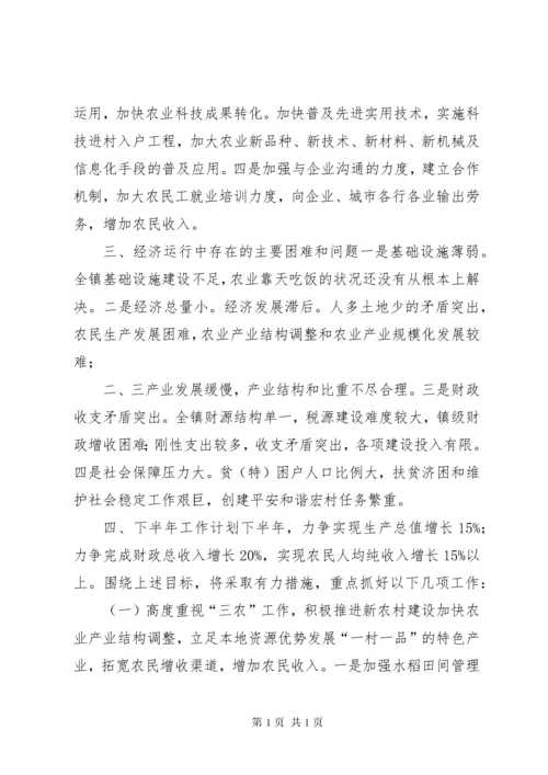 乡镇上半年经济工作总结及下半年工作计划.docx