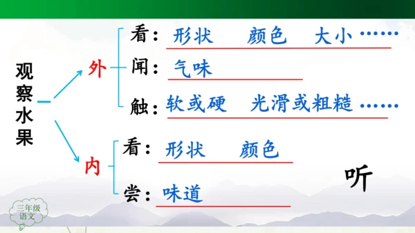 统编版三上第五单元 习作例文：我爱故乡的杨梅   课件