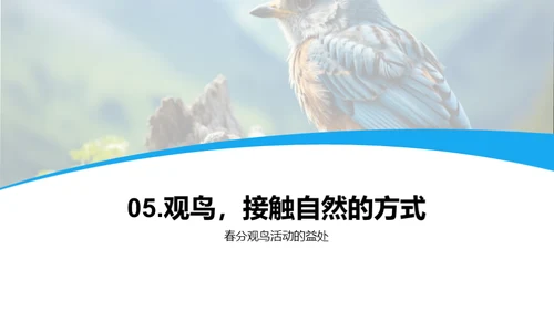 春分观鸟活动策划