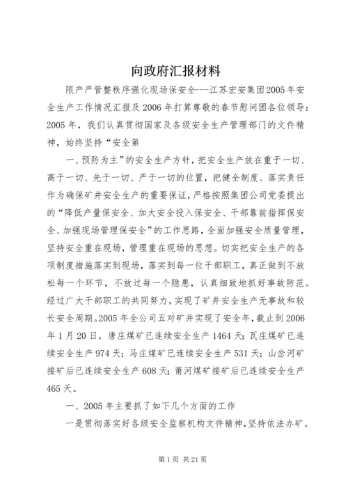 向政府汇报材料.docx