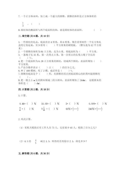 苏教版六年级下册数学期中测试卷【名校卷】.docx