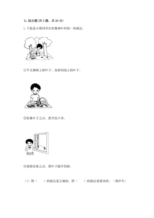 教科版科学一年级上册第一单元《植物》测试卷含完整答案【夺冠系列】.docx