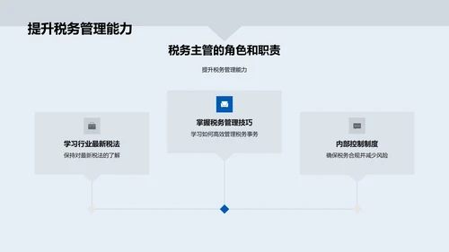 税务规划实践PPT模板