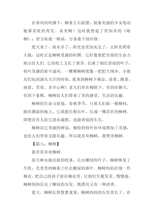 描写柳树作文.docx