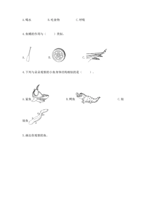 教科版一年级下册科学期末测试卷（轻巧夺冠）.docx