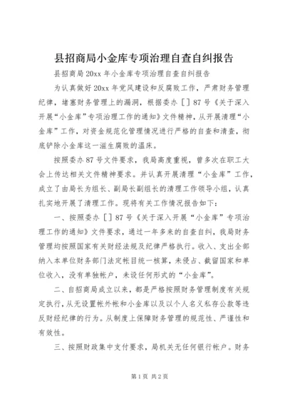 县招商局小金库专项治理自查自纠报告.docx