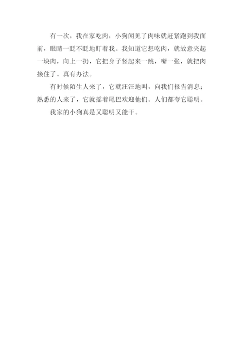 可爱的小狗作文100字.docx