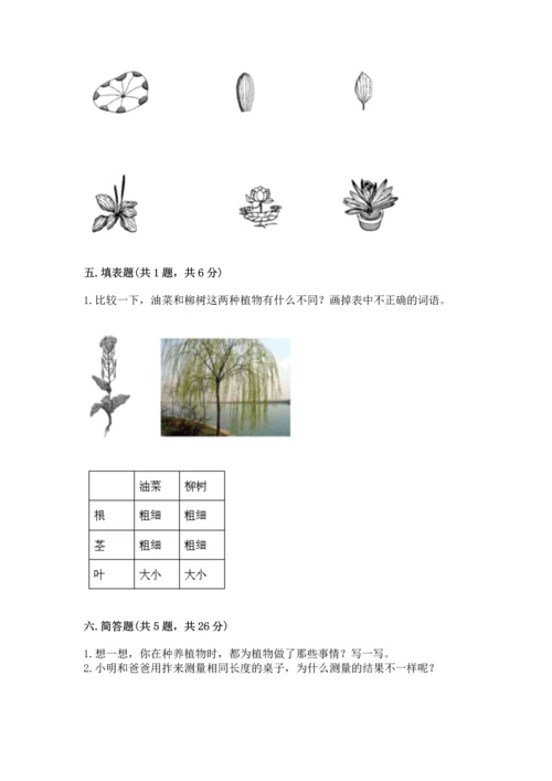 教科版一年级上册科学期末测试卷附答案ab卷.docx