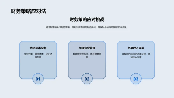 年度财务健康报告