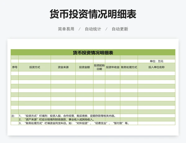 货币投资情况明细表